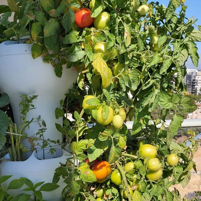 Load image into Gallery viewer, Airponic Fruit - Hydroponic Tower Garden System
