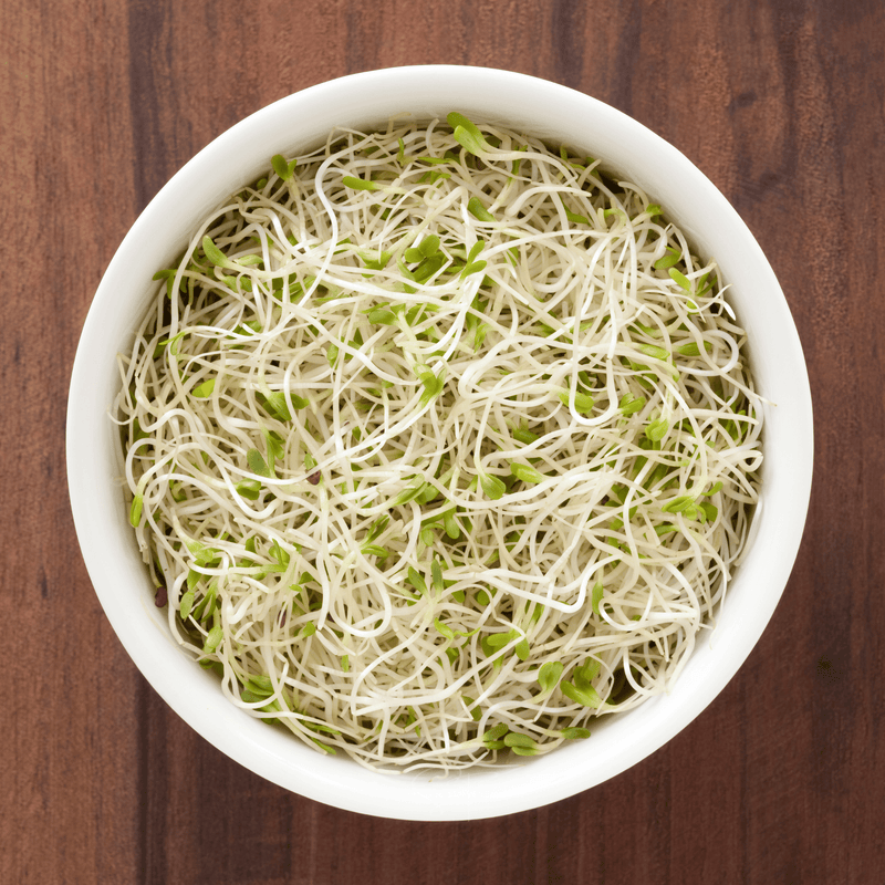 Load image into Gallery viewer, Alfalfa Sprout – 500 Seeds
