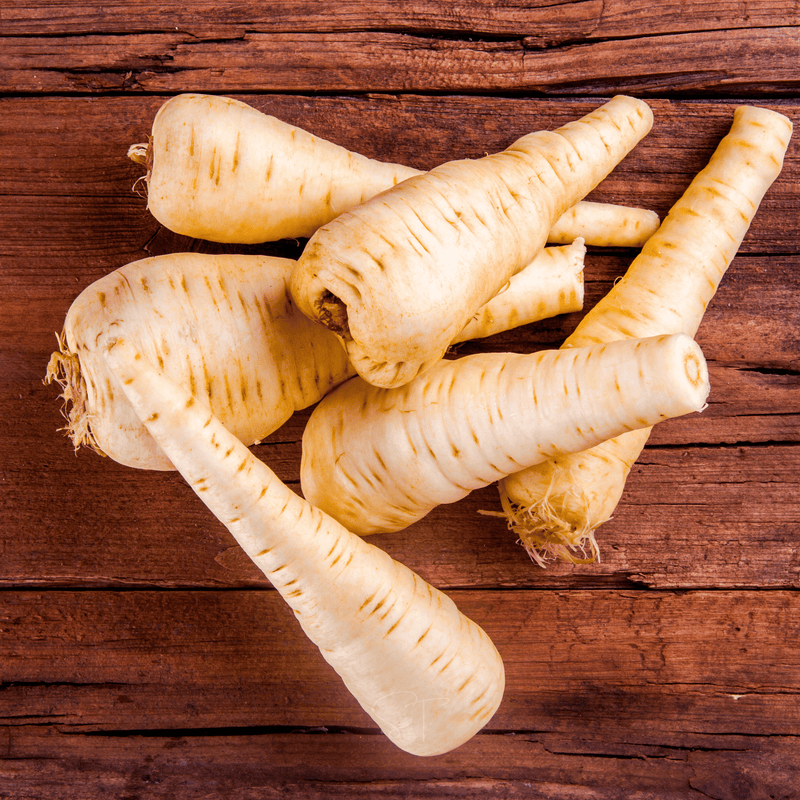 Load image into Gallery viewer, All American Parsnip – 100 Seeds
