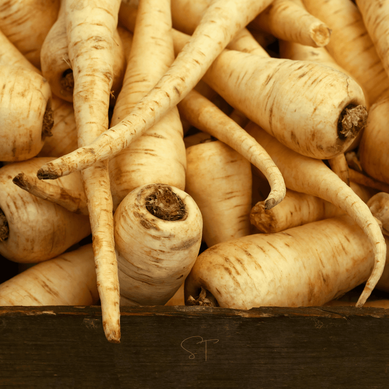 Load image into Gallery viewer, All American Parsnip – 100 Seeds
