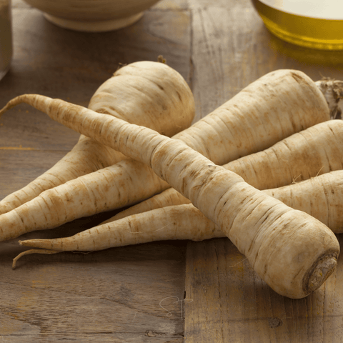All American Parsnip seeds package, 100 count, GrowTime Garden Supply