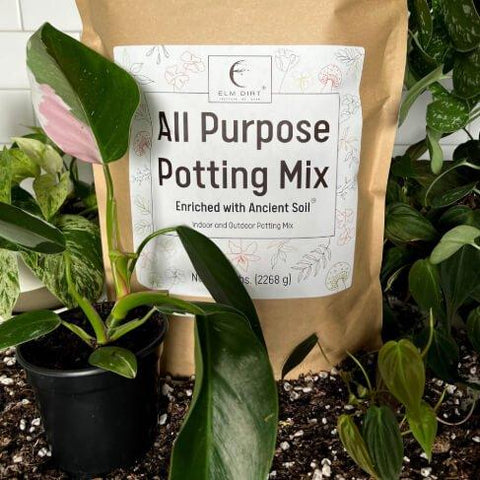Elm Dirt all-purpose organic soil mix bag