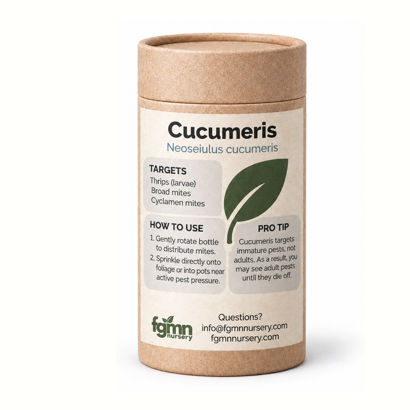 Load image into Gallery viewer, Neoseiulus cucumeris
