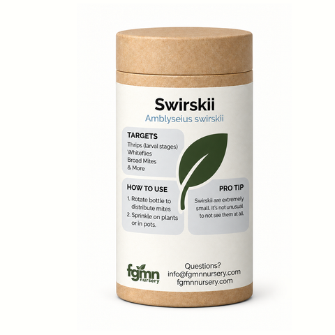 Amblyseius swirskii