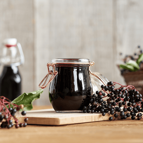 American Black Elderberry – 50 Seeds, additional product view 2