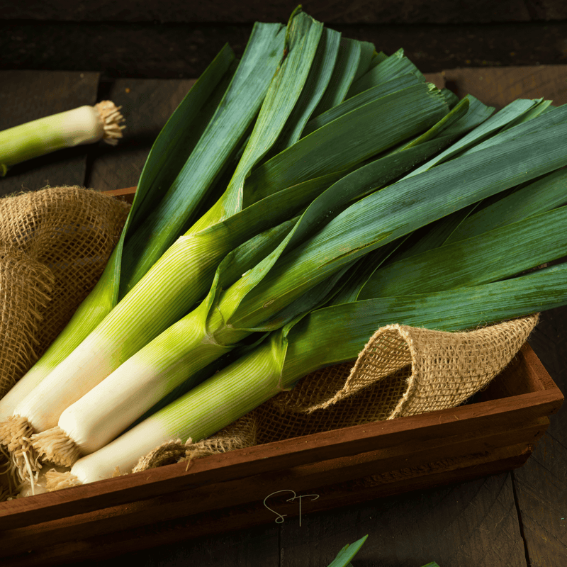 Load image into Gallery viewer, American Flag Leek – 200 Seeds
