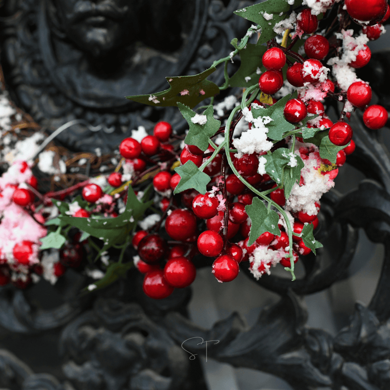 Load image into Gallery viewer, American Holly – 50 Seeds
