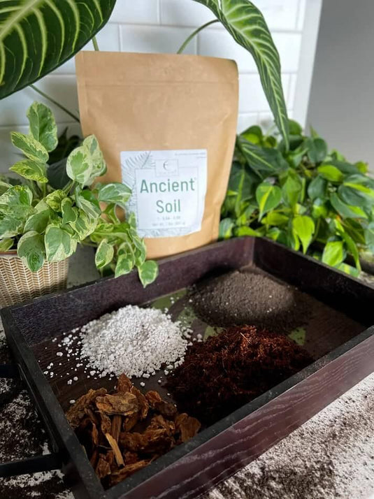 Ancient Soil Organic Living Soil