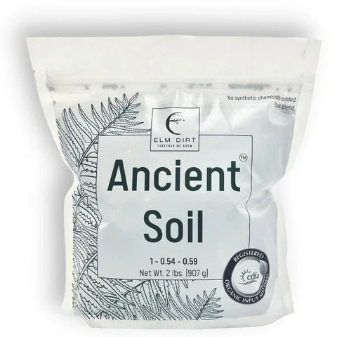 Elm Dirt Ancient Soil organic living soil bag