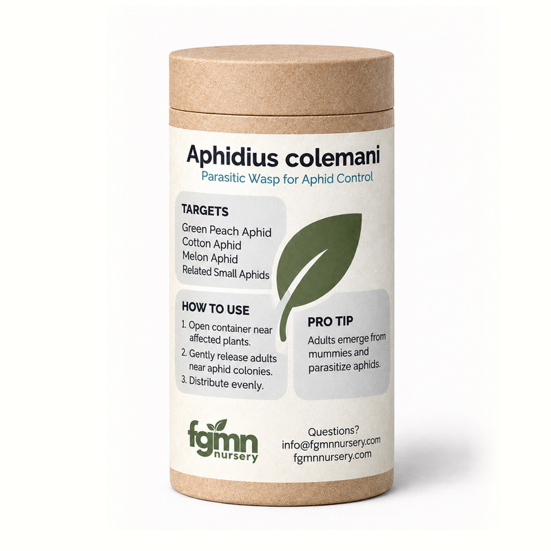 Load image into Gallery viewer, Aphidius colemani
