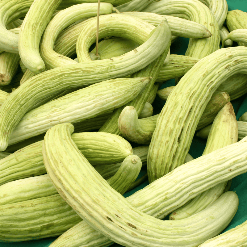 Load image into Gallery viewer, Armenian Yard-Long Cucumber – 30 Seeds
