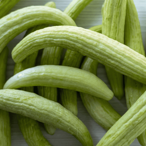 Armenian Yard-Long Cucumber – 30 Seeds, additional product view 2