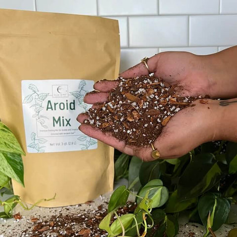 Elm Dirt premium aroid mix for tropical plants bag