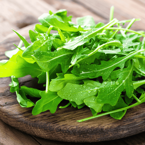 Arugula seeds package, 200 count, GrowTime Garden Supply