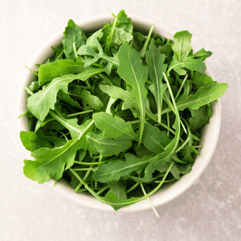 Arugula – 200 Seeds, additional product view 2