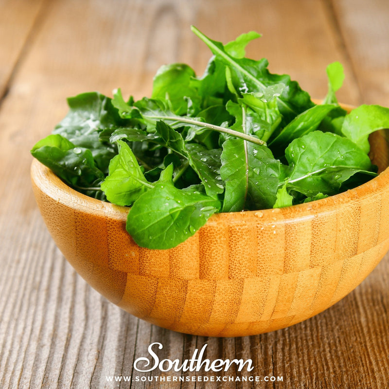 Load image into Gallery viewer, Roquette Arugula – 200 Seeds
