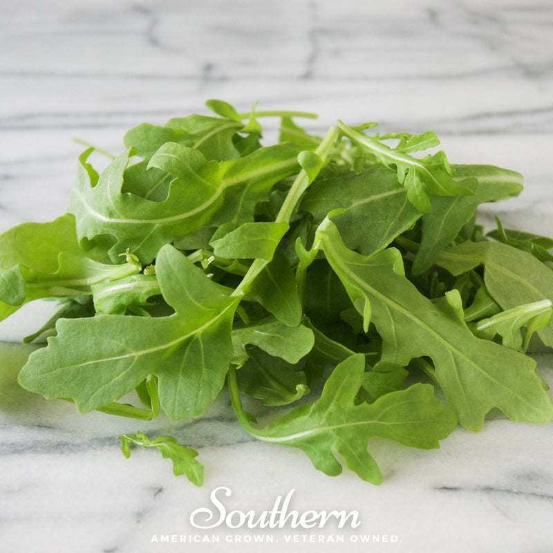 Load image into Gallery viewer, Wild Arugula – 500 Seeds

