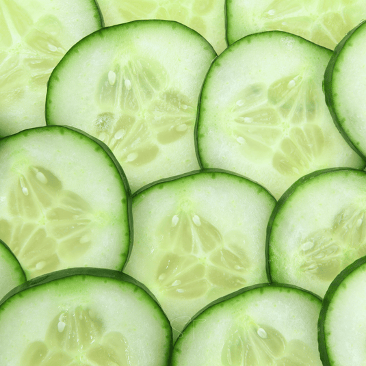 Ashley Cucumber – 30 Seeds