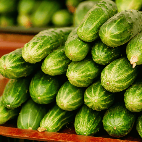 Ashley Cucumber 30 Seeds