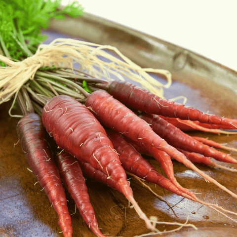 Atomic Red Carrot seeds package, 250 count, GrowTime Garden Supply