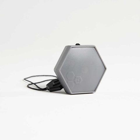 Orbit B-hyve smart flood sensor