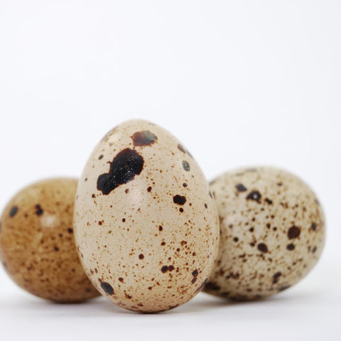 Hollowed quail eggshells, set of 10, packaging
