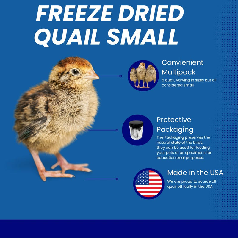 Load image into Gallery viewer, Whole Quail for Carnivore Pets - Premium Quality Natural Pet Treats Quail - Natural Prey Feeding Quail - Freeze-Dried for Essential Nutrients and Enzymes Small Size 5 Count

