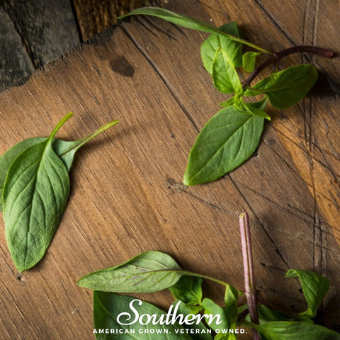 Licorice Basil – 250 Seeds, additional product view 2