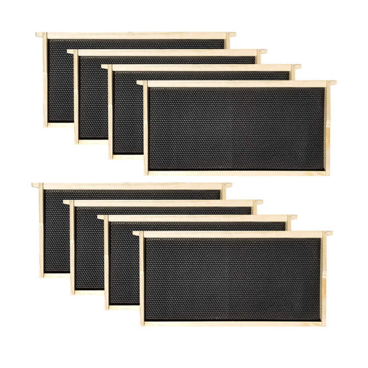 8 Frame Deep Brood Box – Unassembled w/ Frames & Foundations – Made in USA