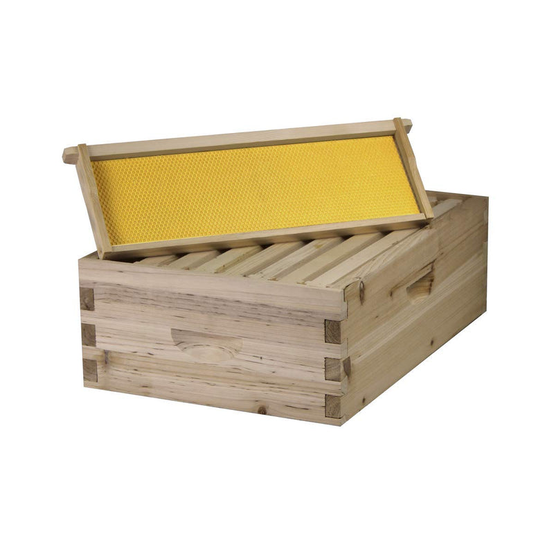Load image into Gallery viewer, NuBee 8-Frame Beehive Kit – Unassembled (1 Deep + 1 Medium Box) with Frames &amp; Wax-Coated Foundations | Lightweight Langstroth Hive
