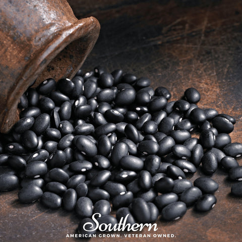 Black Coco Bean Bush 30 Seeds