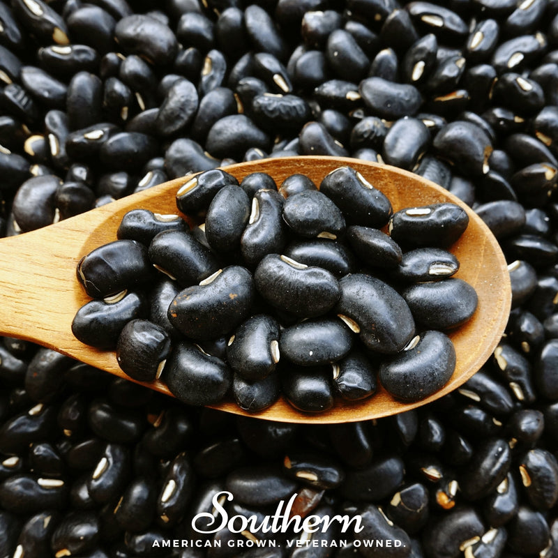 Load image into Gallery viewer, Black Coco Bean (Bush) – 30 Seeds
