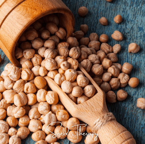 Garbanzo Bean Chickpea 20 Seeds