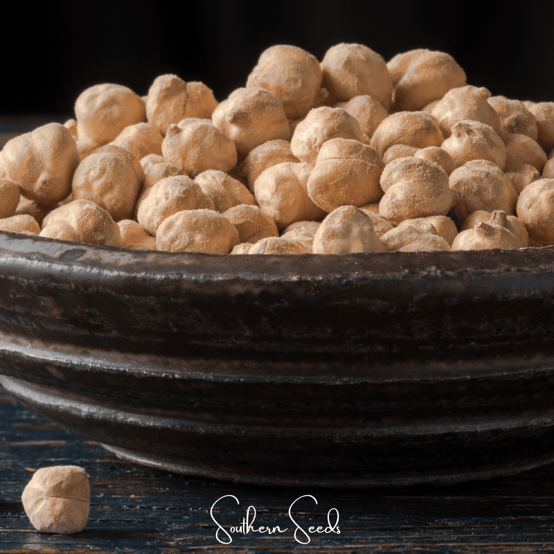 Load image into Gallery viewer, Garbanzo Bean – Chickpea – 20 Seeds
