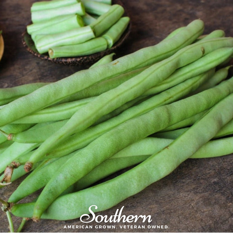 Load image into Gallery viewer, Kentucky Wonder Bean (Pole) – 50 Seeds
