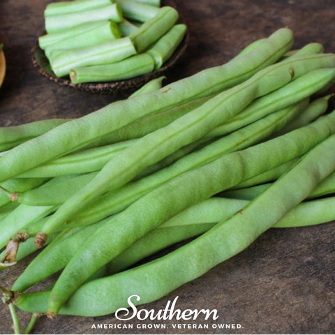 Kentucky Wonder Bean (Pole) – 50 Seeds, additional product view 2