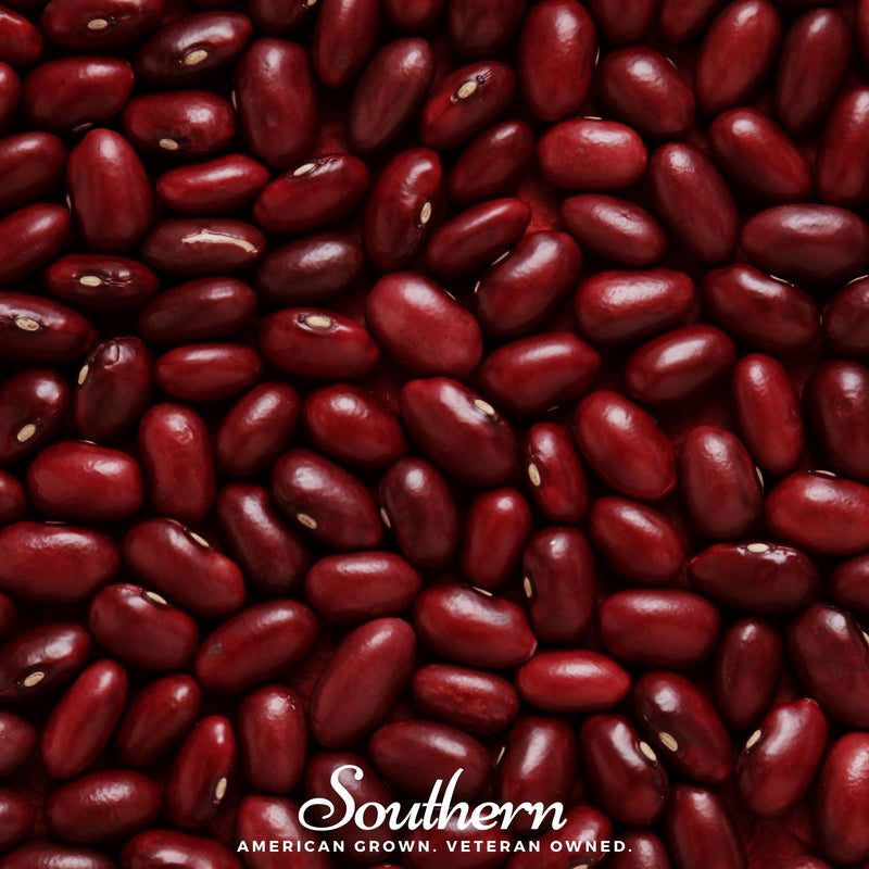 Load image into Gallery viewer, Dark Red Kidney Bean (Bush) – 20 Seeds
