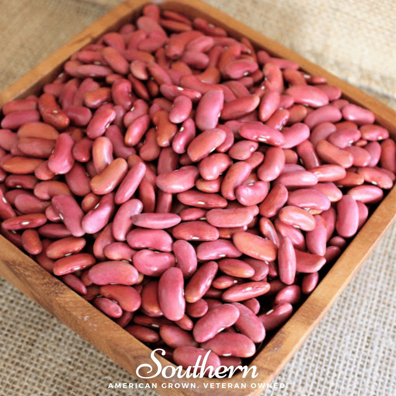 Load image into Gallery viewer, Light Red Kidney Bean (Bush) – 20 Seeds
