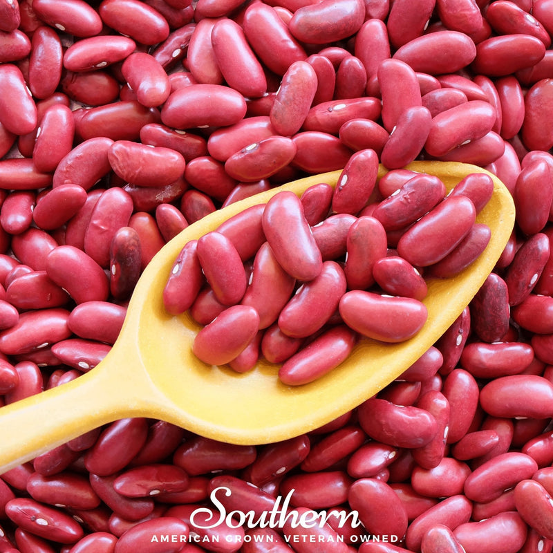 Load image into Gallery viewer, Light Red Kidney Bean (Bush) – 20 Seeds
