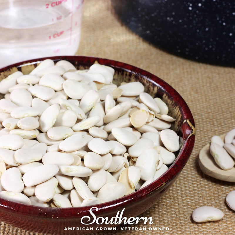 Load image into Gallery viewer, White Dixie Butterpeas Lima Bean (Bush) – 15 Seeds
