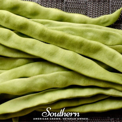 Roma II bush bean seeds package, 30 count, GrowTime Garden Supply