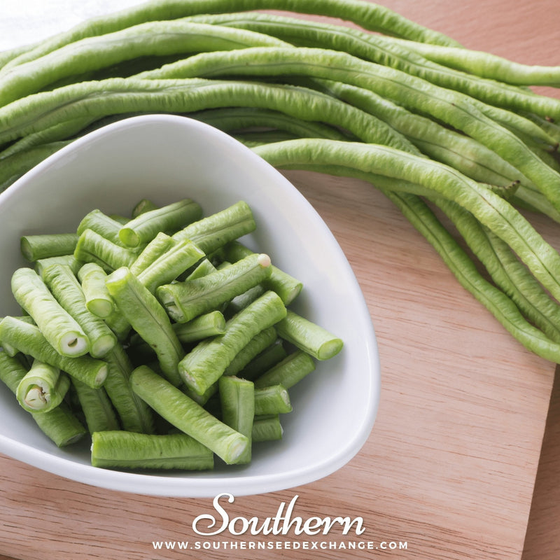Load image into Gallery viewer, Yard Long Green Bean (Pole) – 15 Seeds
