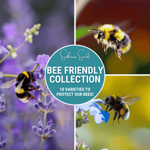 Bee Friendly Collection 10 Flower Varieties