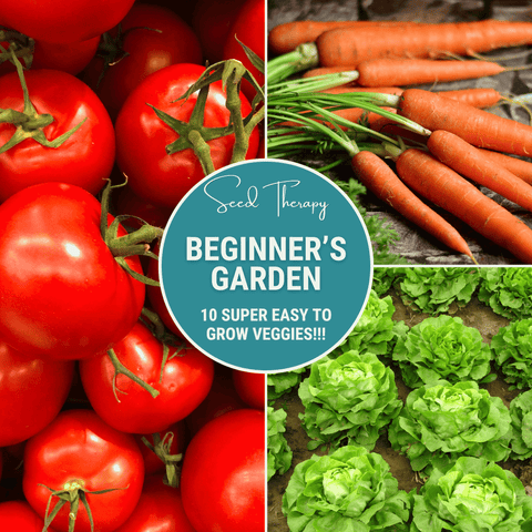 Beginner Vegetable Seed Collection 10 Varieties