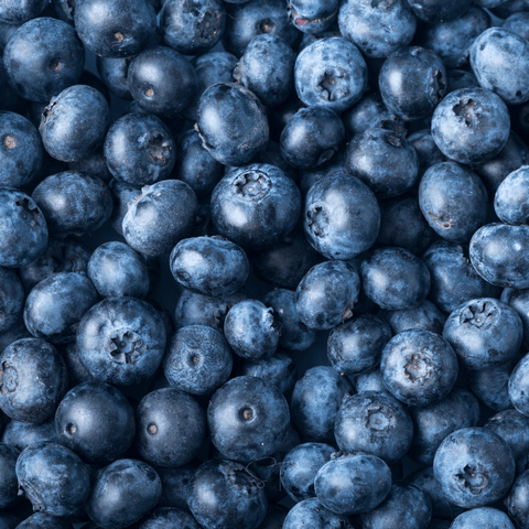 Berry Seed Collection (Elderberry • Blueberry • Strawberry), additional product view 2