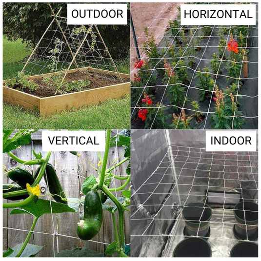 Common Culture Bio Trellis Netting Bulk Roll 4 ft x 3,280 ft w/ 6in Squares