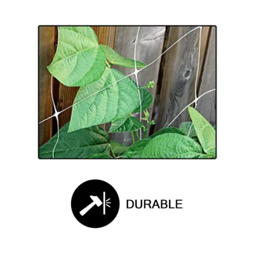 Load image into Gallery viewer, Common Culture Bio Trellis Netting Bulk Roll 4 ft x 3,280 ft w/ 6in Squares
