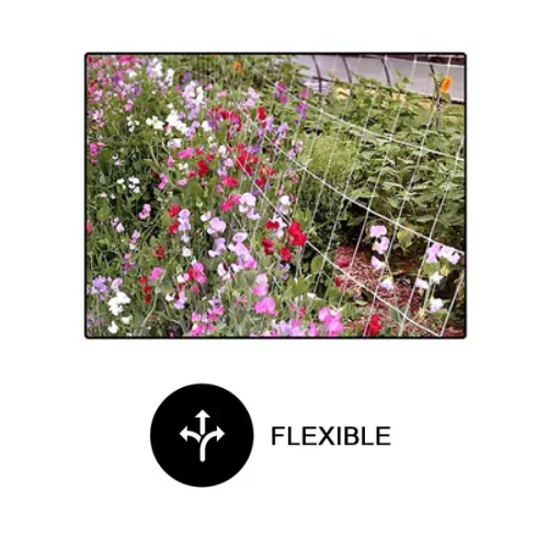 Load image into Gallery viewer, Common Culture Bio Trellis Netting Bulk Roll 5 ft x 3,280 ft w/ 6in Squares
