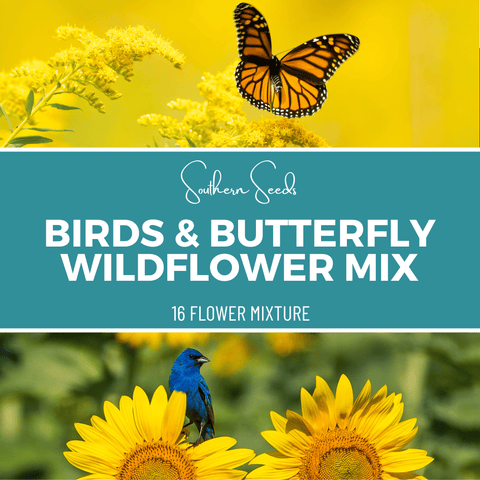 Birds and Butterfly Wildflower Seed Mix 14 Varieties 1000 Seeds