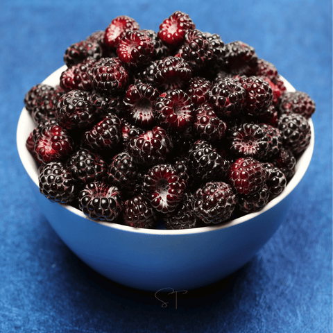 Black Raspberry 30 Seeds